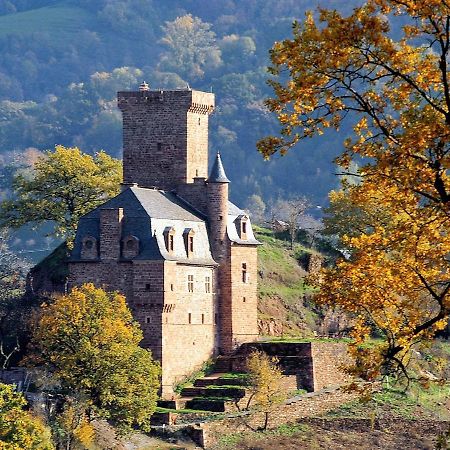 Chateau La Servayrie - Chambre D'Hotes Marcillac-Vallon 外观 照片