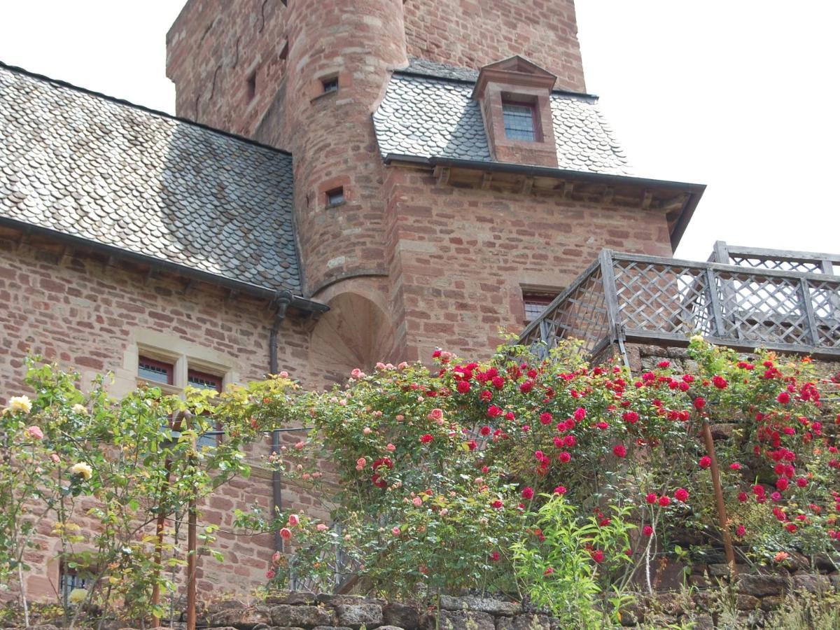 Chateau La Servayrie - Chambre D'Hotes Marcillac-Vallon 外观 照片